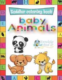 Baby Animals Coloring Book