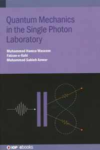 Quantum Mechanics in the Single Photon Laboratory