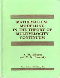 Mathematical Modelling in the Theory of Multivelocity Continuum