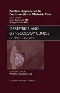 Practical Approaches To Controversies In Obstetric Care, An