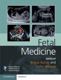 Fetal Medicine