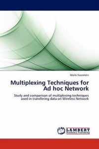 Multiplexing Techniques for Ad Hoc Network