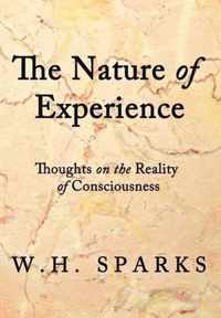 The Nature of Experience