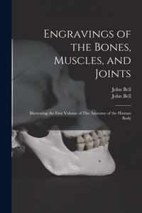 Engravings of the Bones, Muscles, and Joints