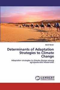 Determinants of Adaptation Strategies to Climate Change