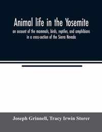 Animal life in the Yosemite; an account of the mammals, birds, reptiles, and amphibians in a cross-section of the Sierra Nevada