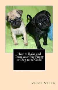 How to Raise and Train Your Pug Puppy or Dog to Be Good