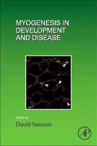 Myogenesis in Development and Disease