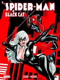 Spider-Man and the Black Cat