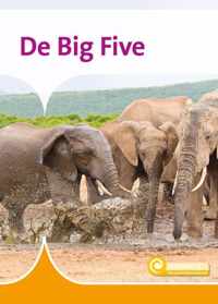 Informatie 124 -   De Big Five