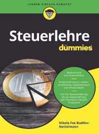 Steuerlehre fur Dummies