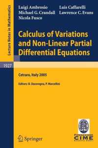 Calculus of Variations and Nonlinear Partial Differential Equations