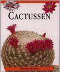 Cactussen