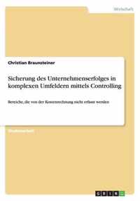 Sicherung des Unternehmenserfolges in komplexen Umfeldern mittels Controlling