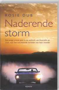 Naderende storm