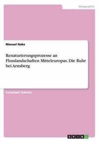 Renaturierungsprozesse an Flusslandschaften Mitteleuropas. Die Ruhr bei Arnsberg