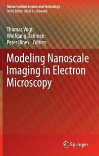 Modeling Nanoscale Imaging in Electron Microscopy