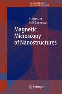 Magnetic Microscopy of Nanostructures