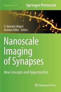 Nanoscale Imaging of Synapses