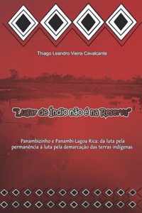 Lugar de indio nao e na Reserva: Panambizinho e Panambi-Lagoa Rica