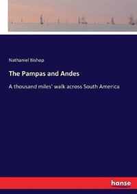 The Pampas and Andes