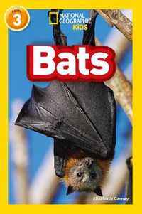 Bats