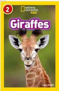 Giraffes