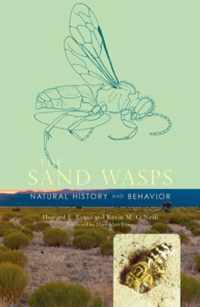 The Sand Wasps - Natural History And Behavior