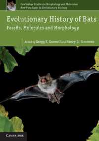 Evolutionary History Of Bats