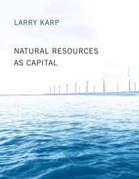 Natural Resources as Capital