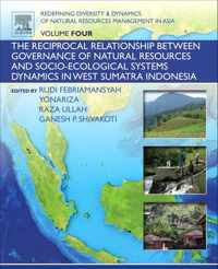 Redefining Diversity and Dynamics of Natural Resources Management in Asia, Volume 4