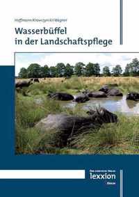 Wasserbuffel in Der Landschaftspflege