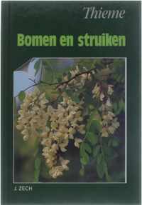 Bomen en struiken