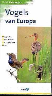 Anwb Natuurwijzer Vogels Europa