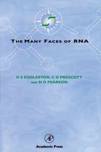 The Many Faces of RNA