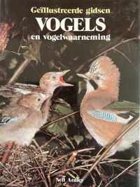 Vogels en vogelwaarneming