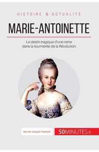 Marie-Antoinette: Le destin tragique d'une reine dans la tourmente de la Révolution