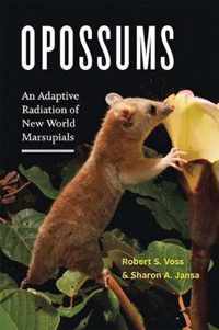 Opossums