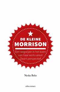 Kleine boekjes - grote inzichten 1 - De kleine Morrison