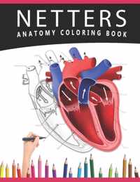 Netters Anatomy Coloring Book