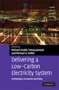 Delivering a Low-Carbon Electricity System