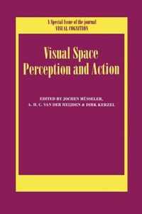 Visual Space Perception and Action