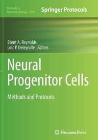 Neural Progenitor Cells