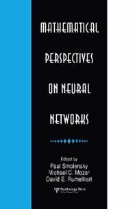 Mathematical Perspectives on Neural Networks