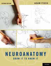 Neuroanatomy