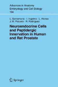 Neuroendocrine Cells and Peptidergic Innervation in Human and Rat Prostrate