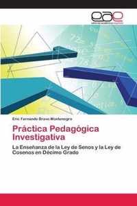 Practica Pedagogica Investigativa