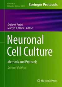 Neuronal Cell Culture