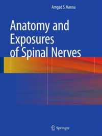 Anatomy and Exposures of Spinal Nerves