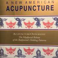 New American Acupuncture